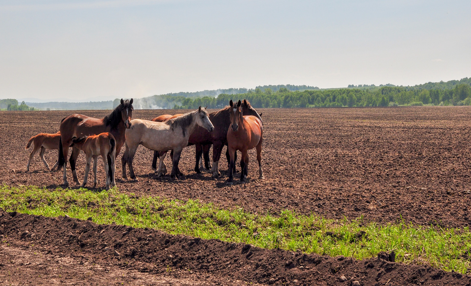 photo "***" tags: nature, landscape, travel, Хакасия