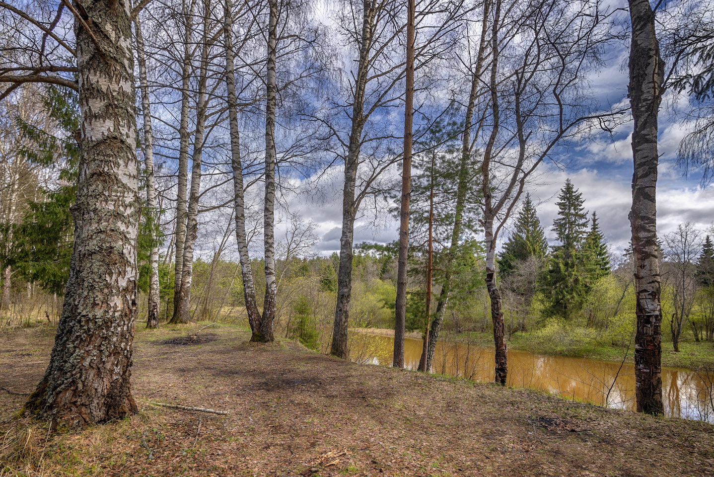 фото "Высокий берег" метки: пейзаж, 