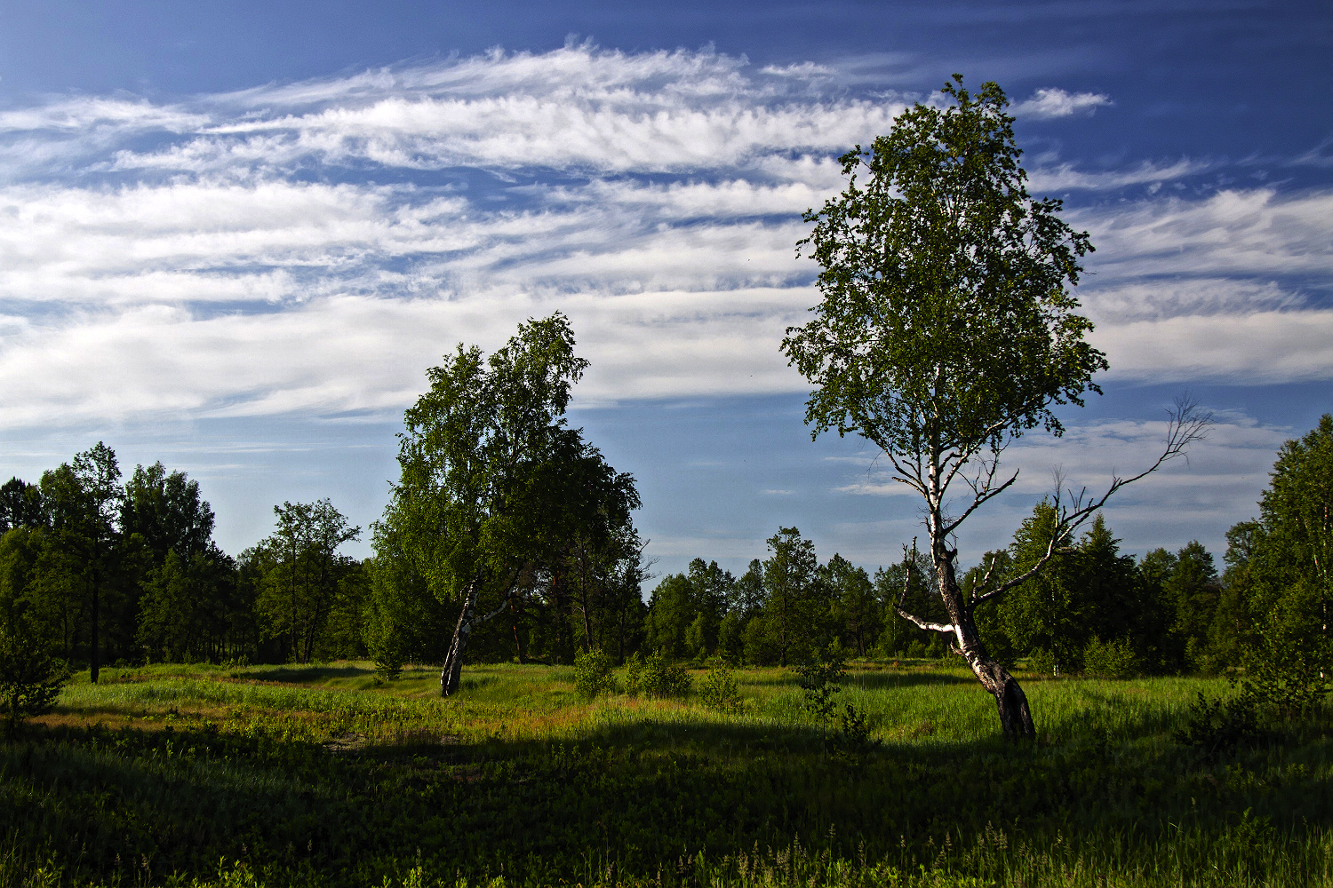 photo "***" tags: , 