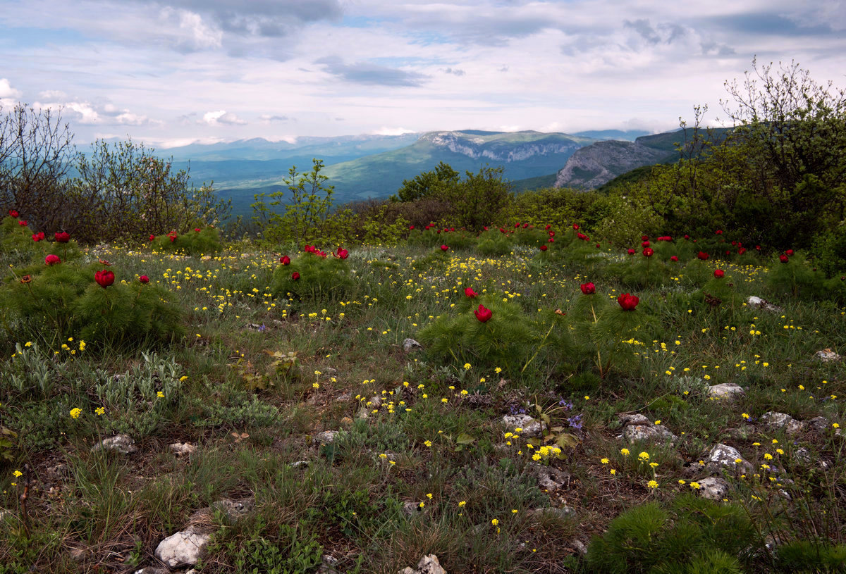 photo "***" tags: landscape, nature, travel, 