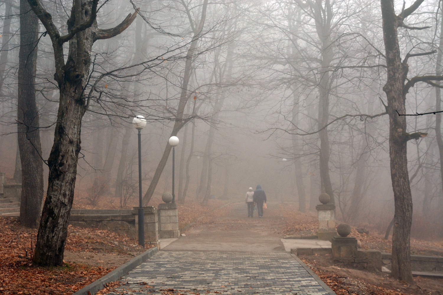 photo "***" tags: landscape, autumn, fog, morning, park, Железноводск