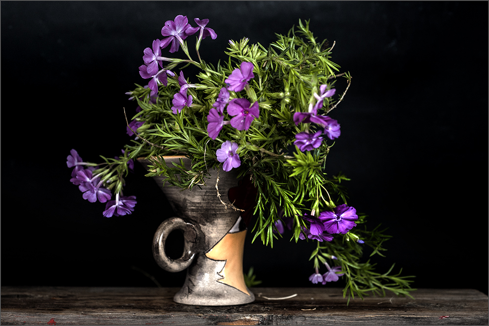 photo "***" tags: still life, 