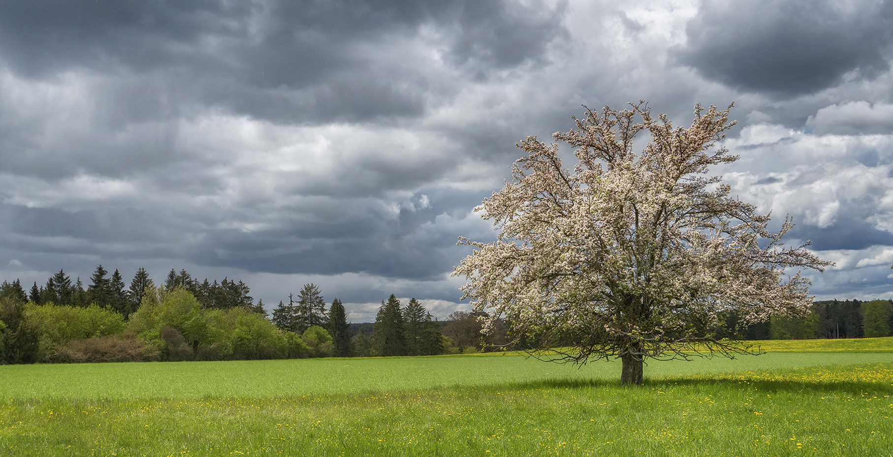 photo "***" tags: landscape, nature, 