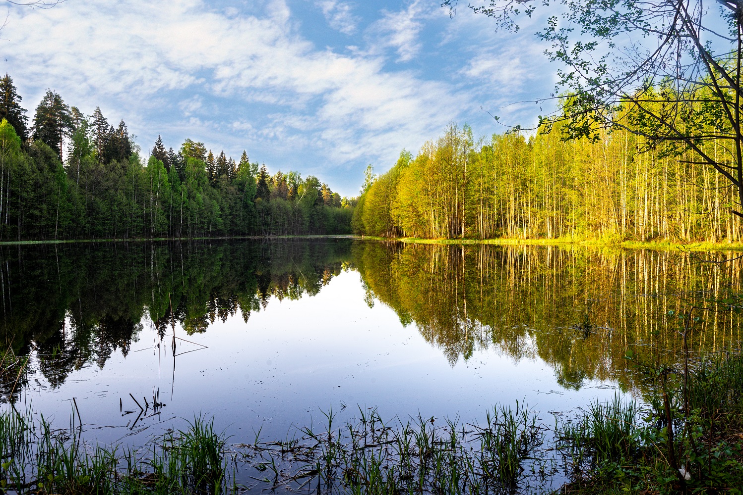 фото "***" метки: пейзаж, 