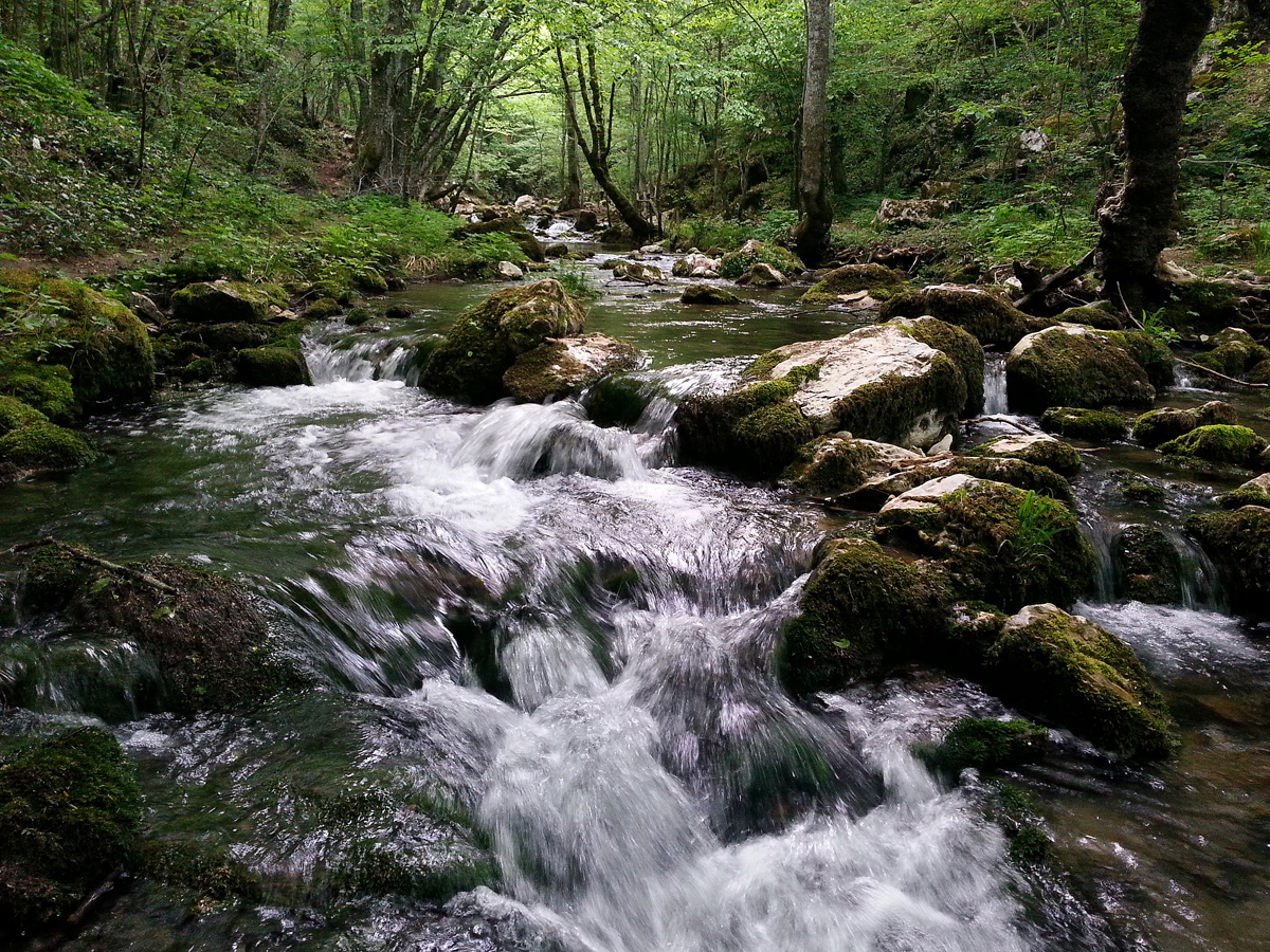 photo "***" tags: landscape, water