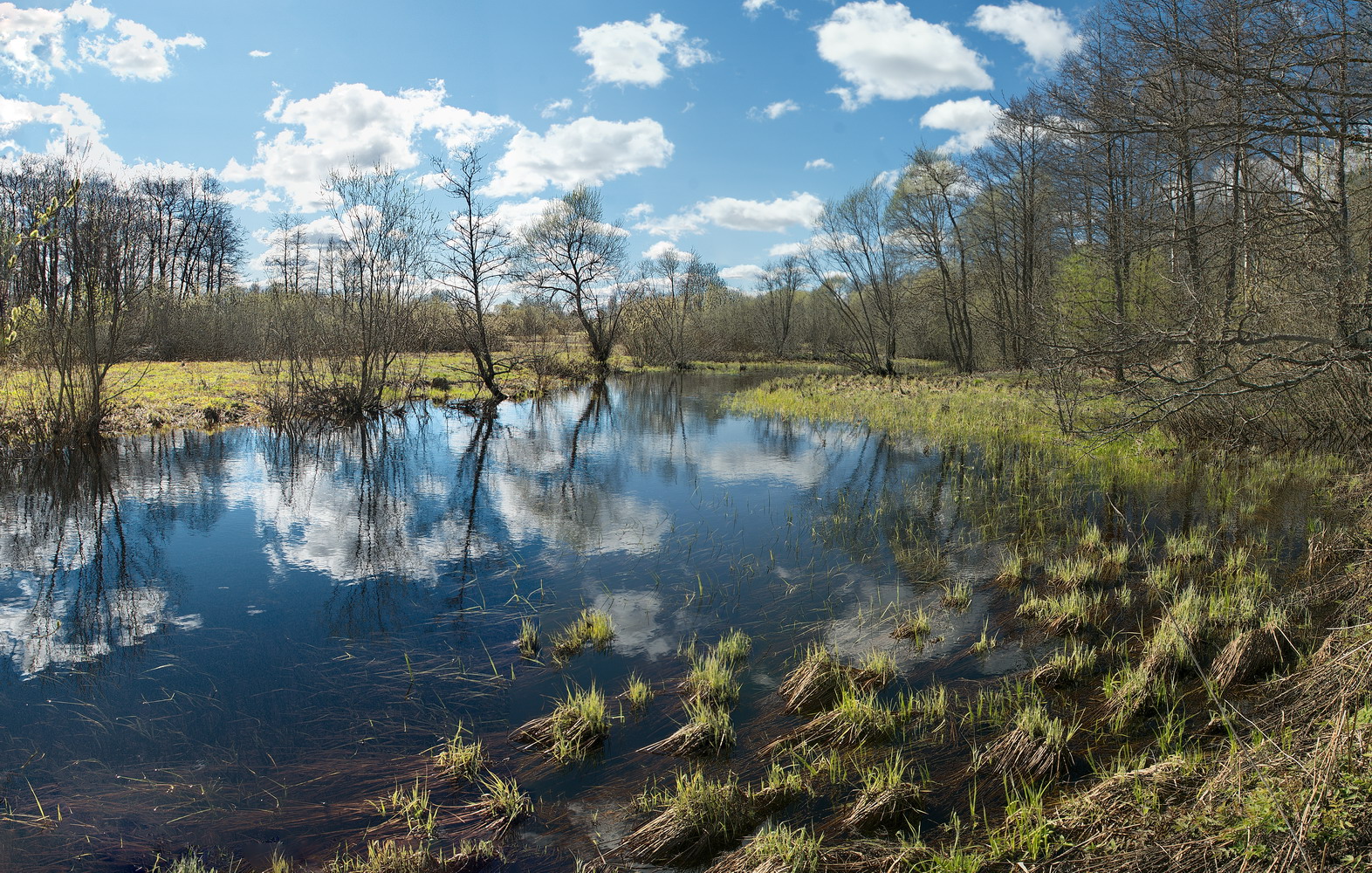 photo "***" tags: landscape, nature, 