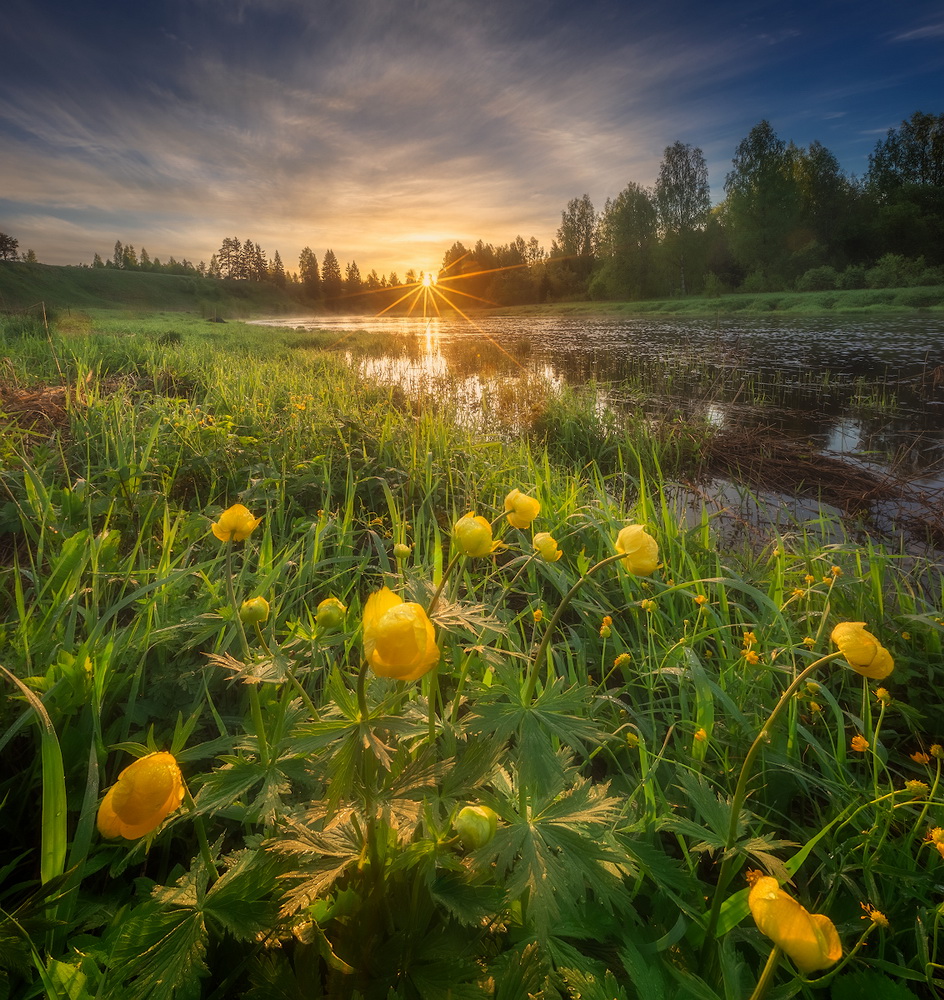 фото "***" метки: пейзаж, природа, Восход, река, цветы