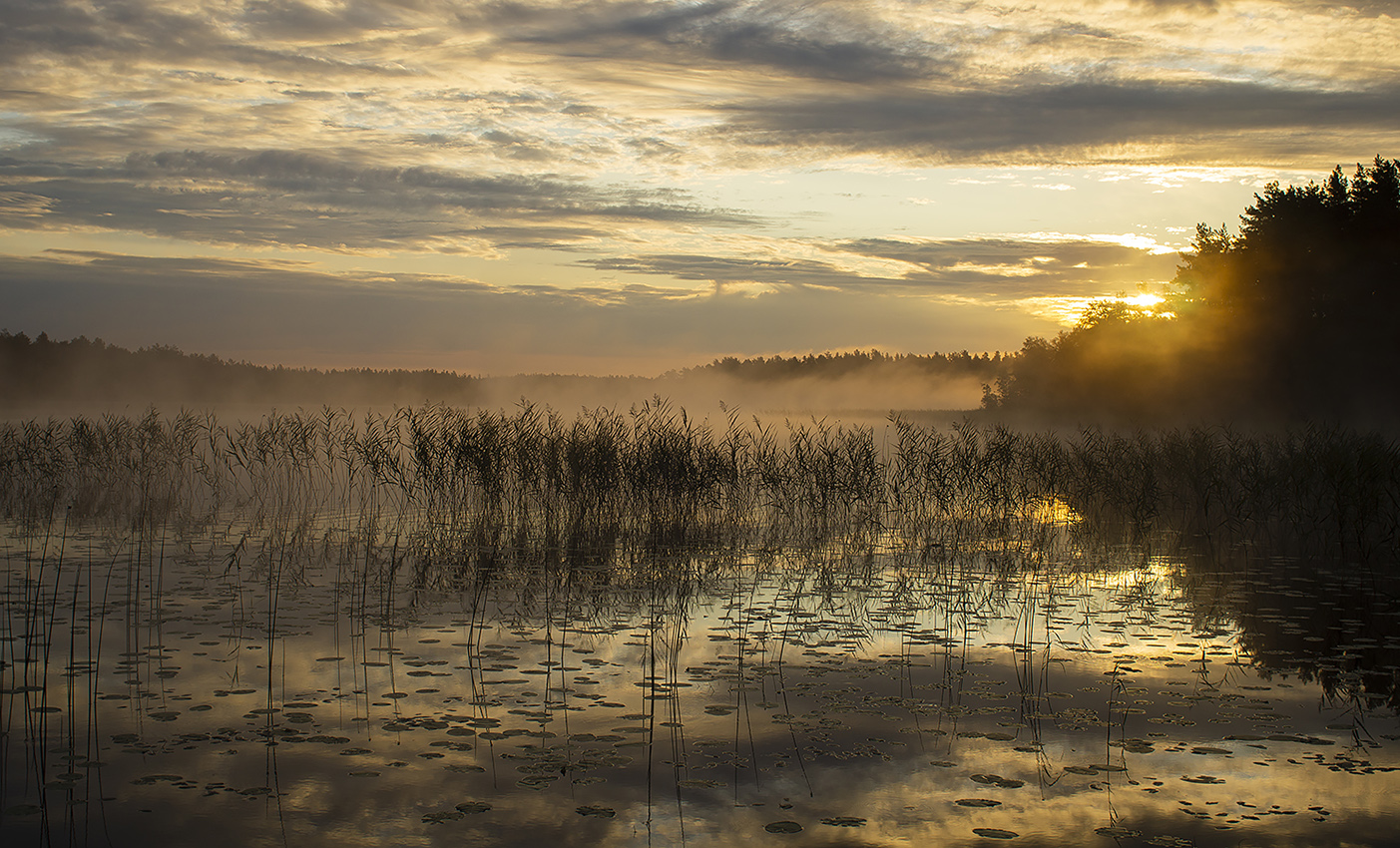 photo "***" tags: landscape, travel, nature, forest, park, river, красота, ландшафт