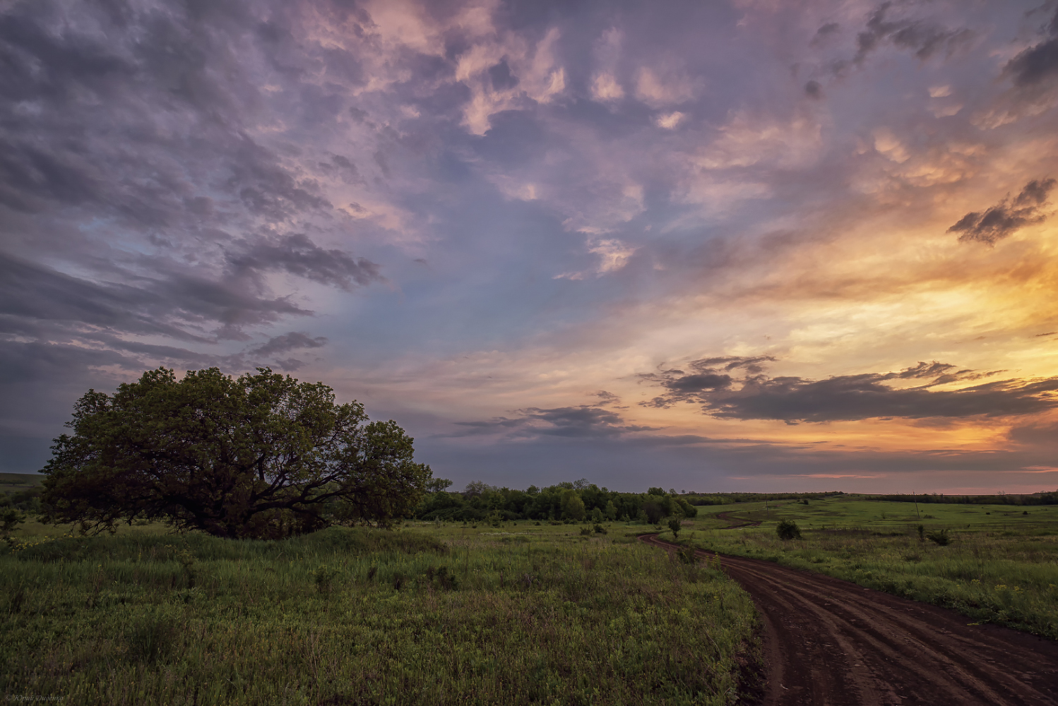 фото "На закате дня" метки: пейзаж, природа, дерево, дорога, закат, облака, трава