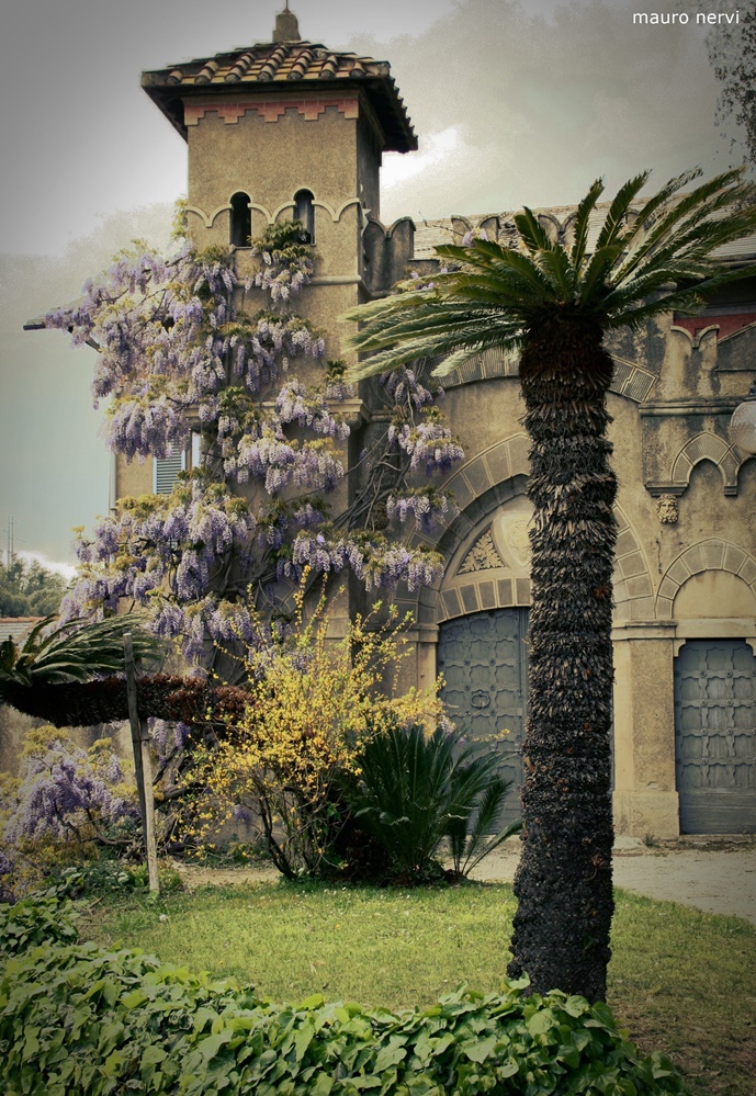 photo "in the park" tags: landscape, 