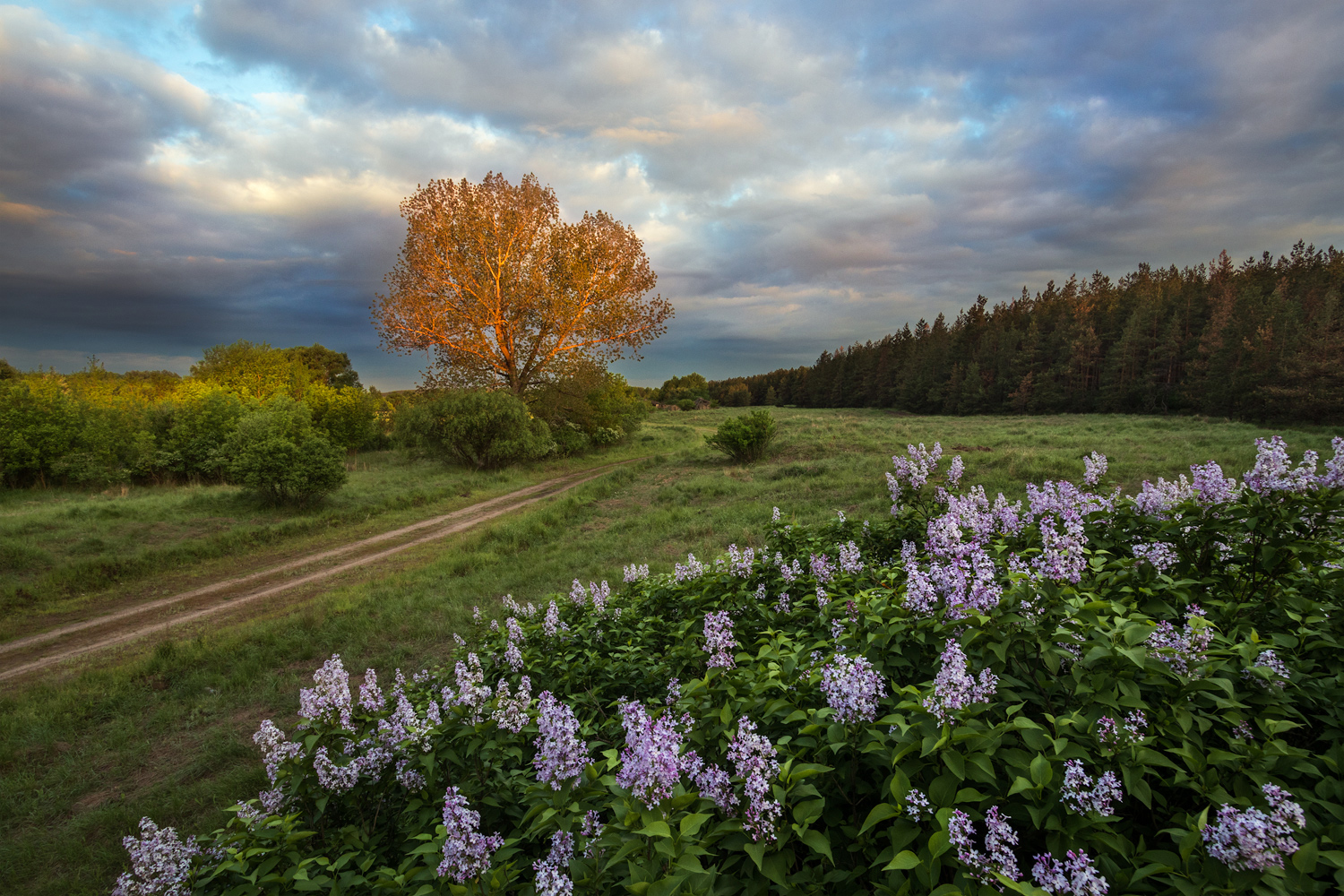 photo "***" tags: landscape, 