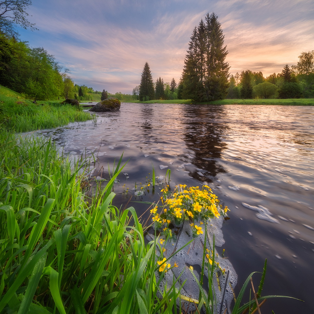 фото "***" метки: пейзаж, весна, рассвет, река