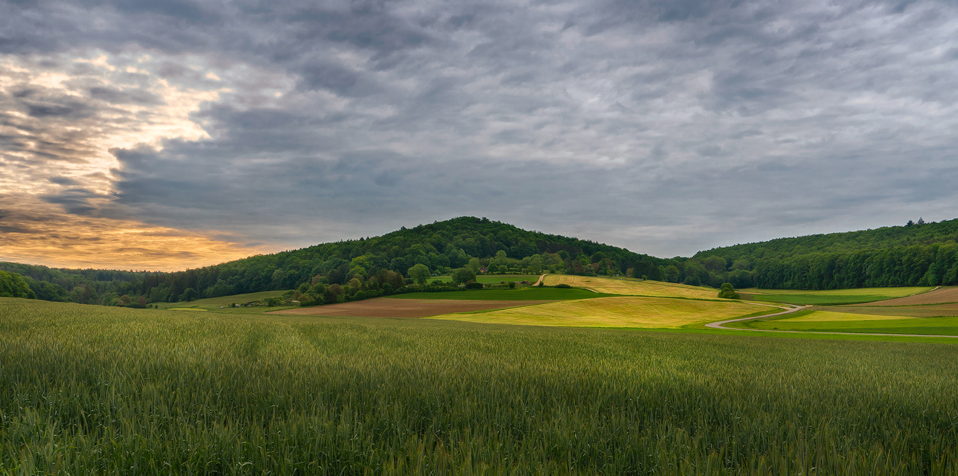 photo "***" tags: landscape, 