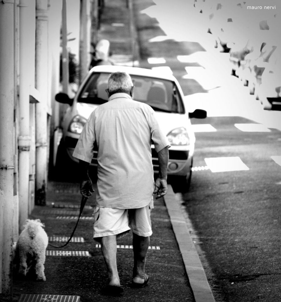 photo "the walk" tags: black&white, 