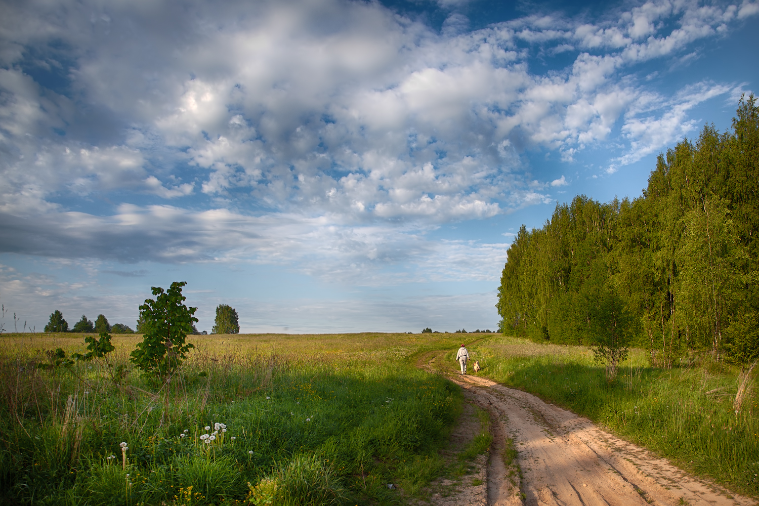 фото "***" метки: пейзаж, 