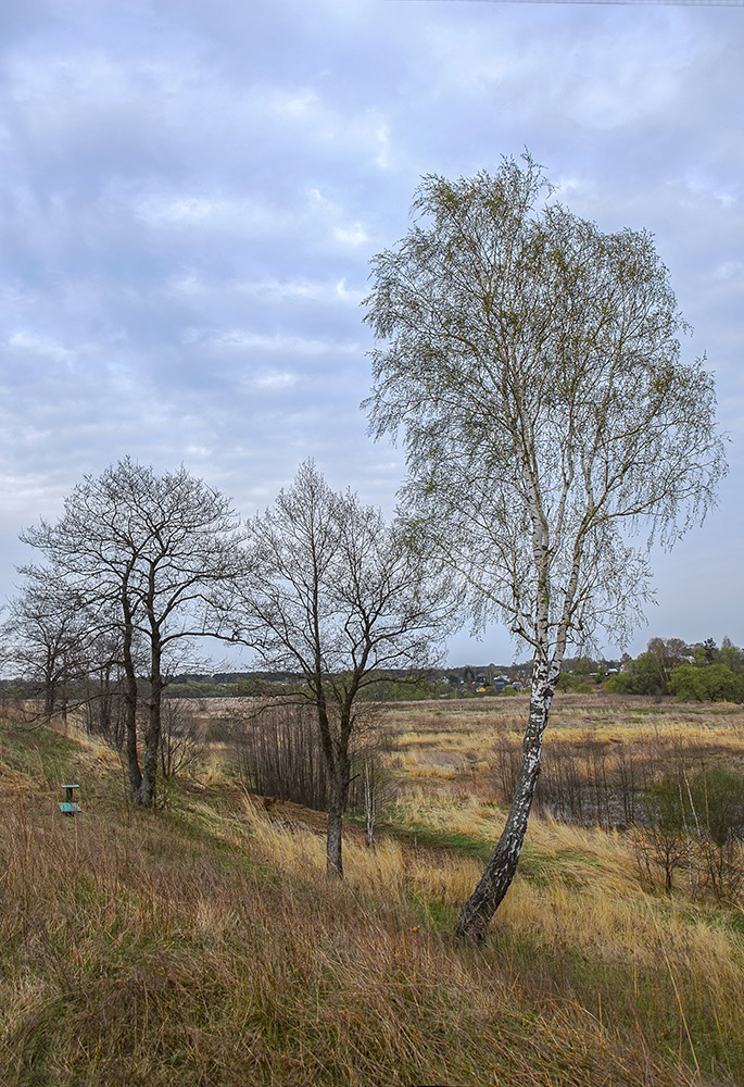 photo "***" tags: landscape, 