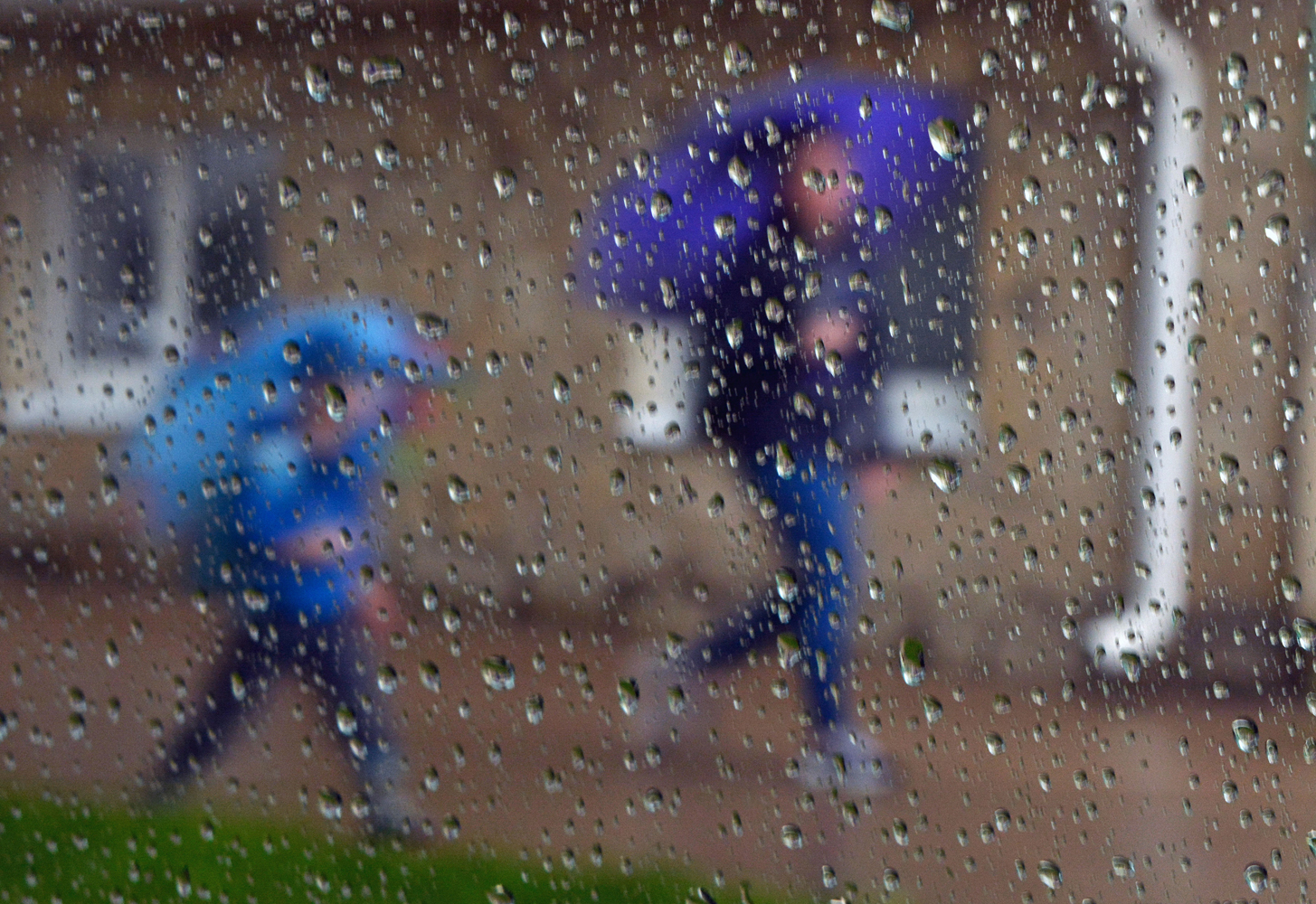 photo "***" tags: street, rain, summer, пешеходы