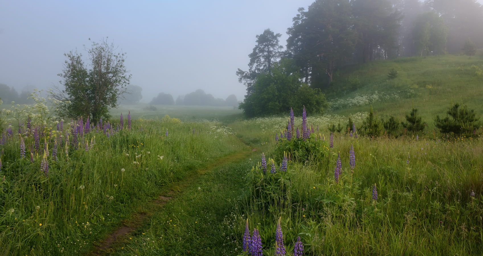 photo "***" tags: landscape, nature, 