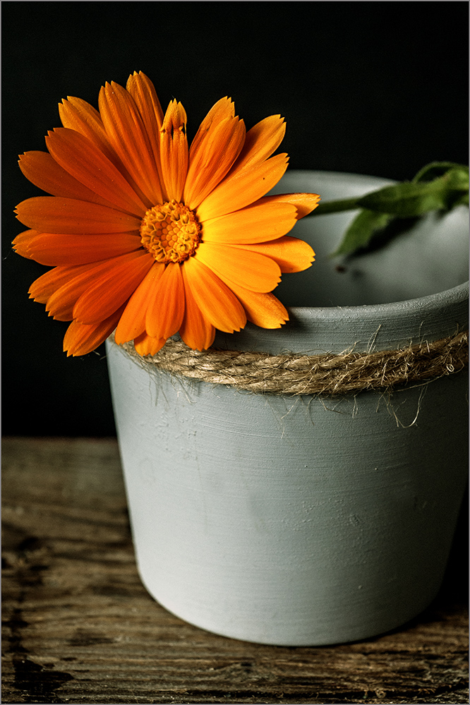 photo "***" tags: still life, 