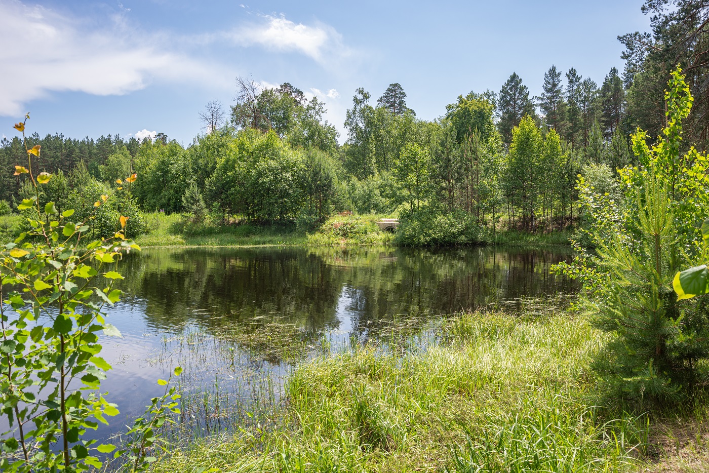 photo "***" tags: landscape, summer, water, Речка