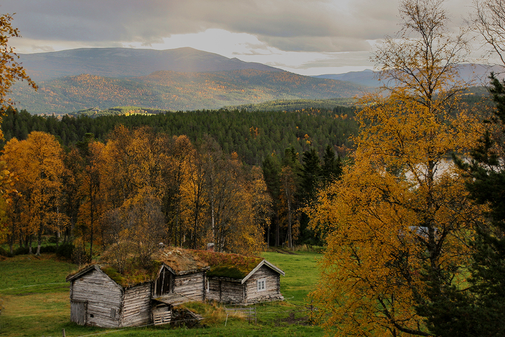 photo "Mountain farm" tags: landscape, 