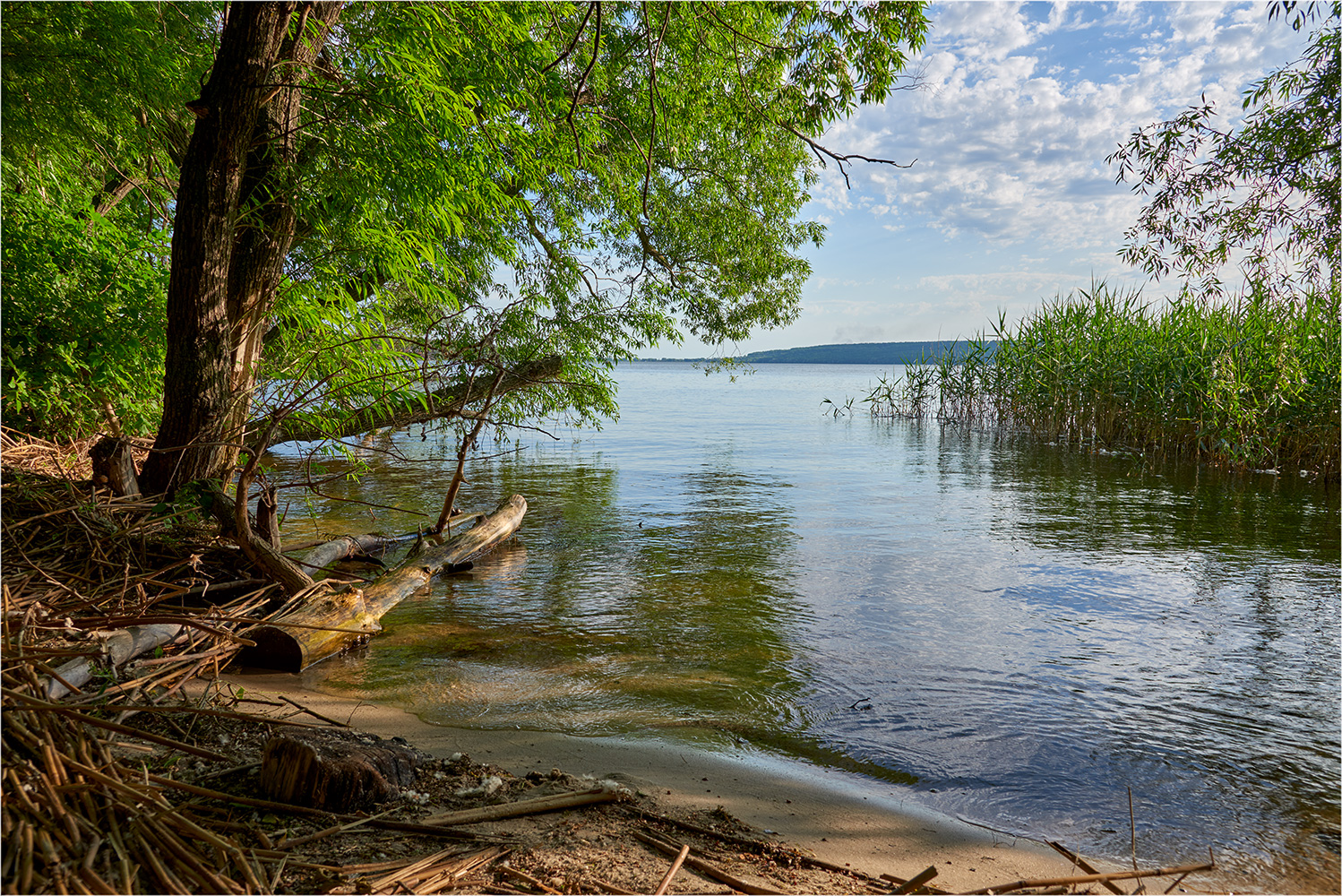 photo "***" tags: landscape, 