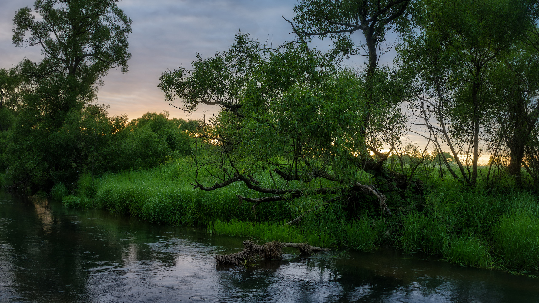 фото "июньское утро" метки: пейзаж, природа, 