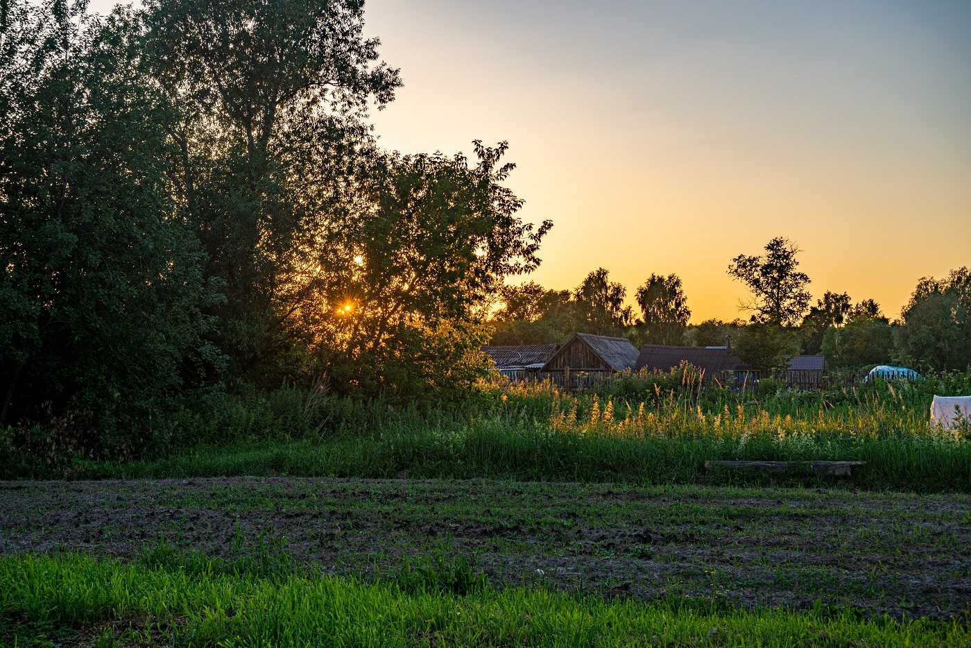 photo "***" tags: landscape, summer, sunset, деревня