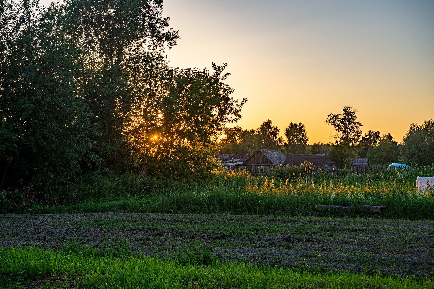 фото "За околицей" метки: пейзаж, деревня, закат, лето