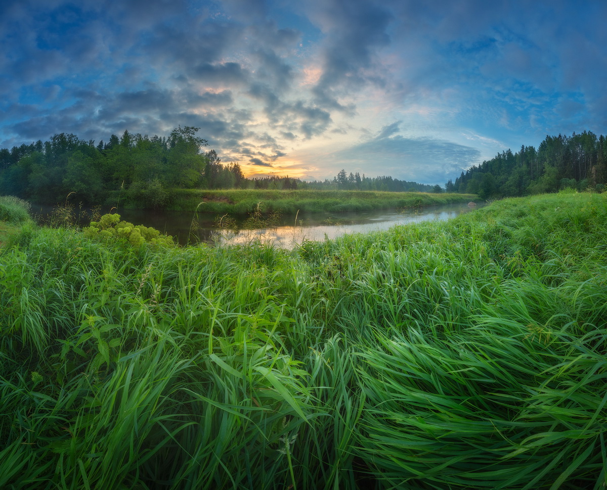 photo "***" tags: landscape, river, summer, sunrise, ленобласть, оредеж