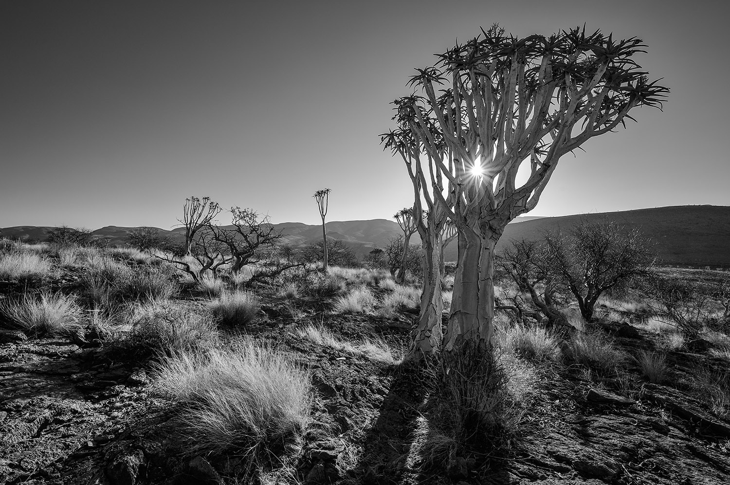 photo "***" tags: landscape, Africa