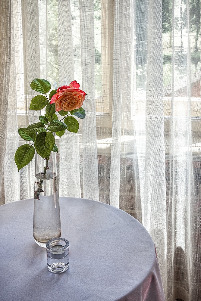 photo "Just a rose" tags: interior, 