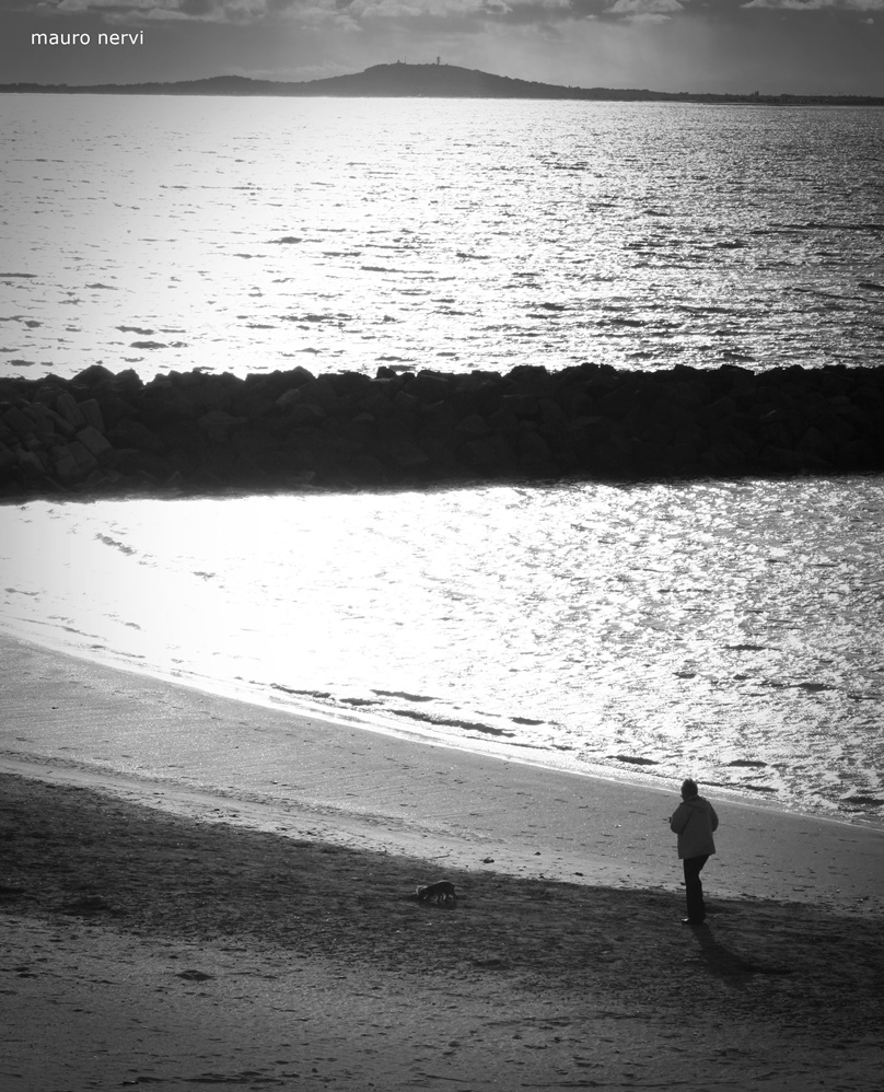 photo "a walk alone" tags: black&white, 