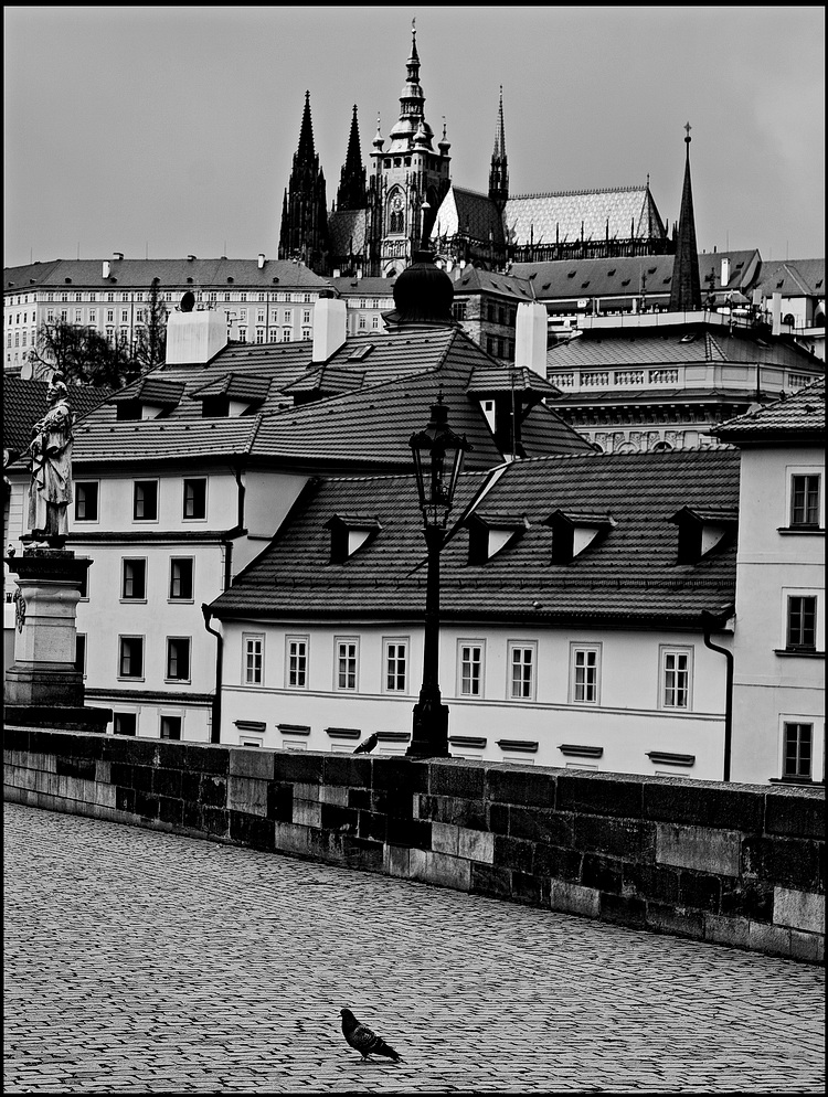 photo "Вид с моста-3" tags: black&white, architecture, Prag, Prague, Praha