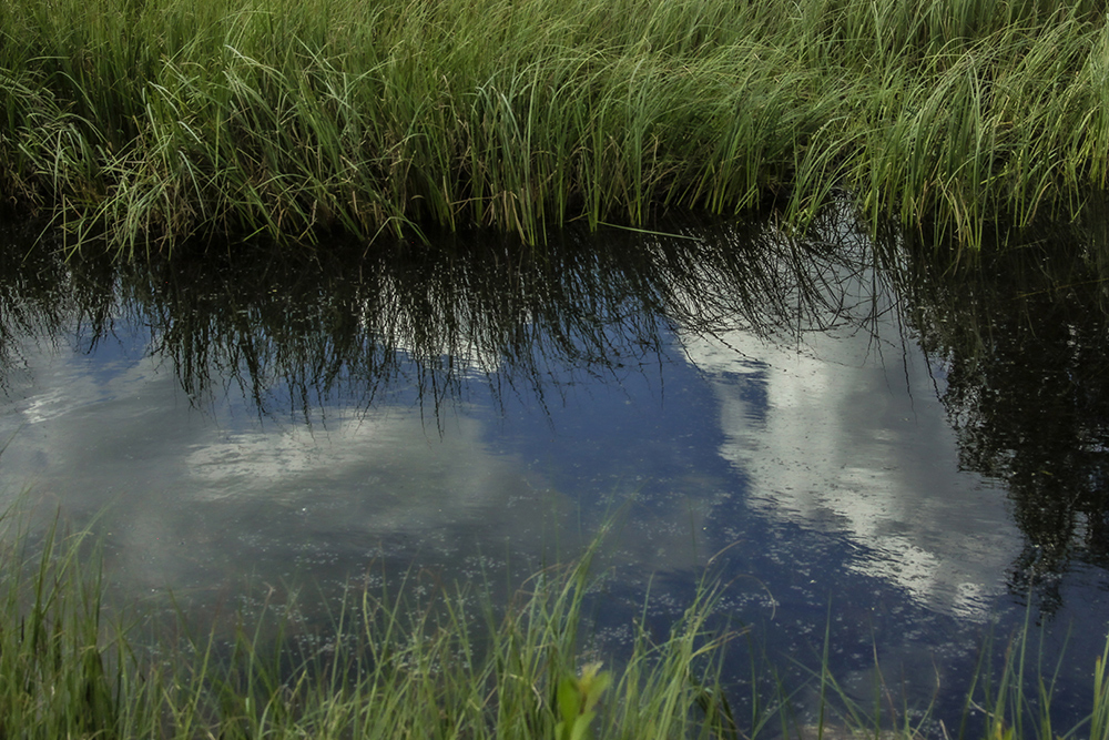 photo "Summer tarn" tags: landscape, 