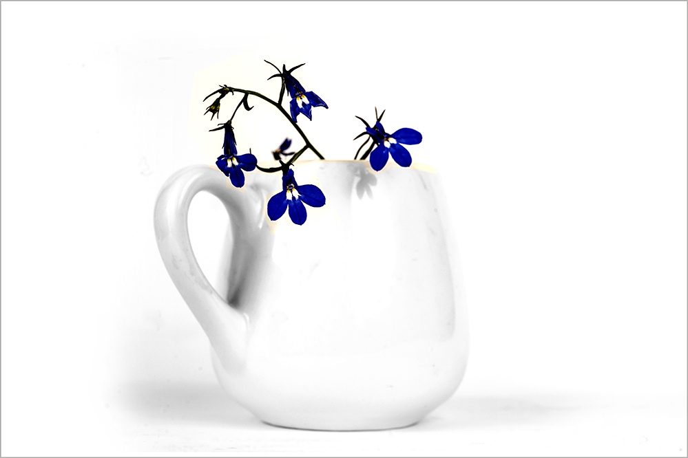 photo "***" tags: still life, 