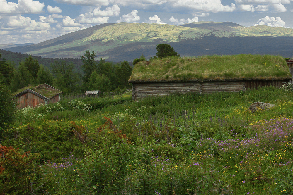 фото "Summer  landscape" метки: пейзаж, путешествия, 