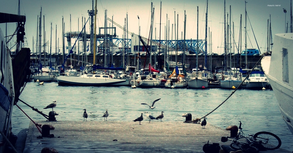 photo "in the port" tags: landscape, 