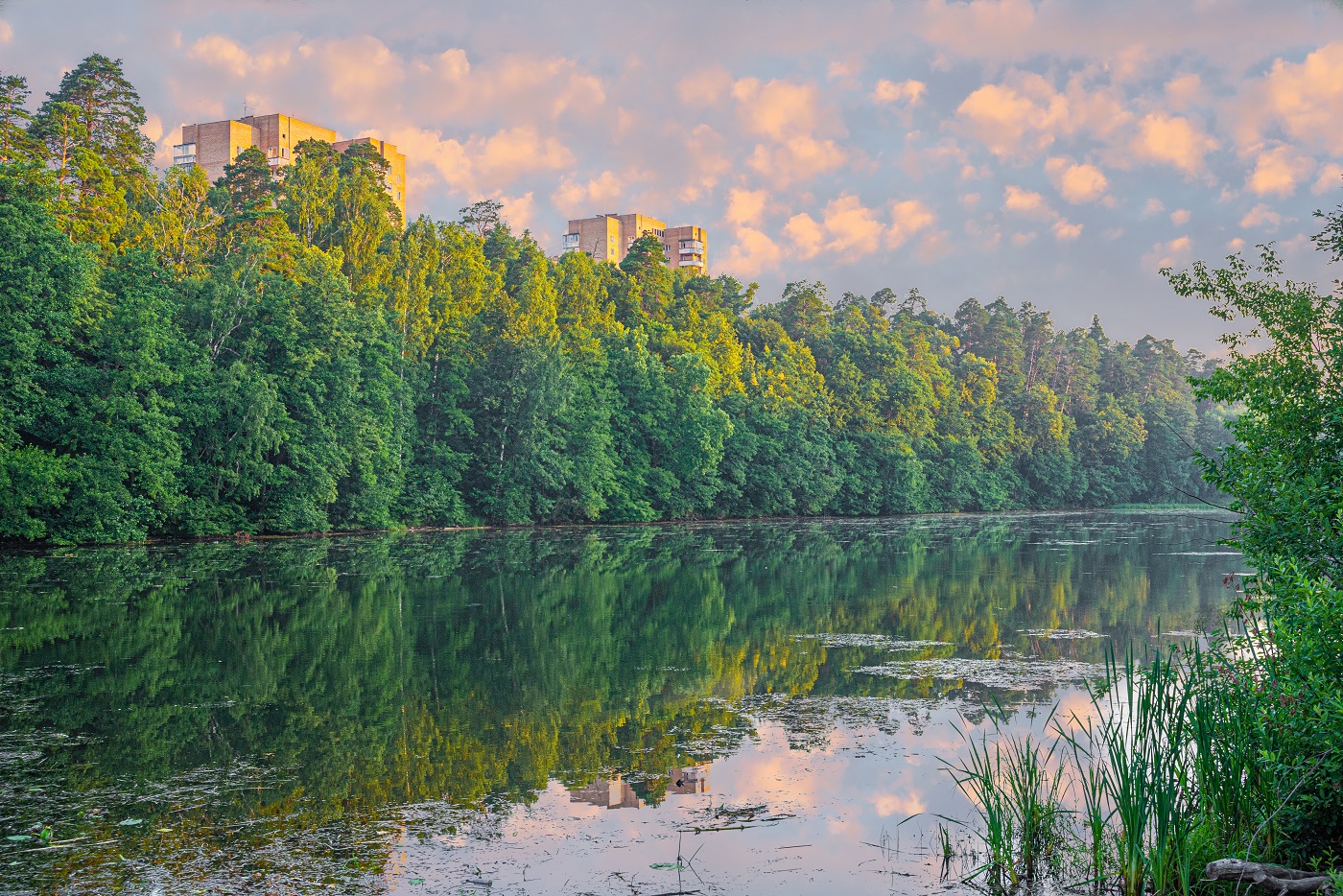 photo "***" tags: nature, morning, Восход, Речка, Саров