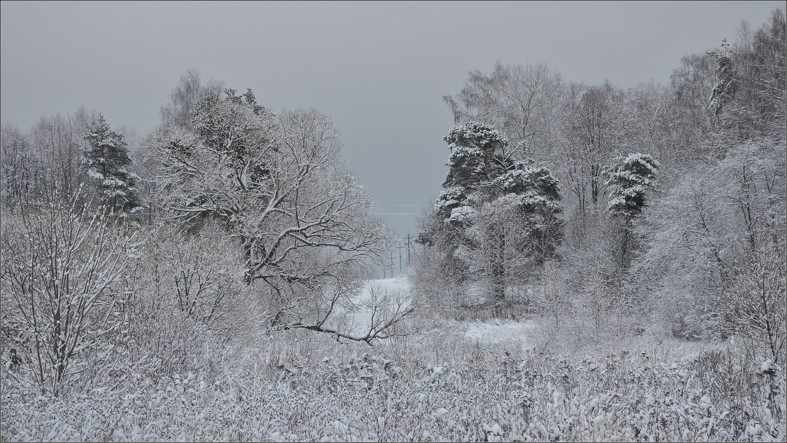 фото "в кружевах зимнего леса" метки: пейзаж, природа, 