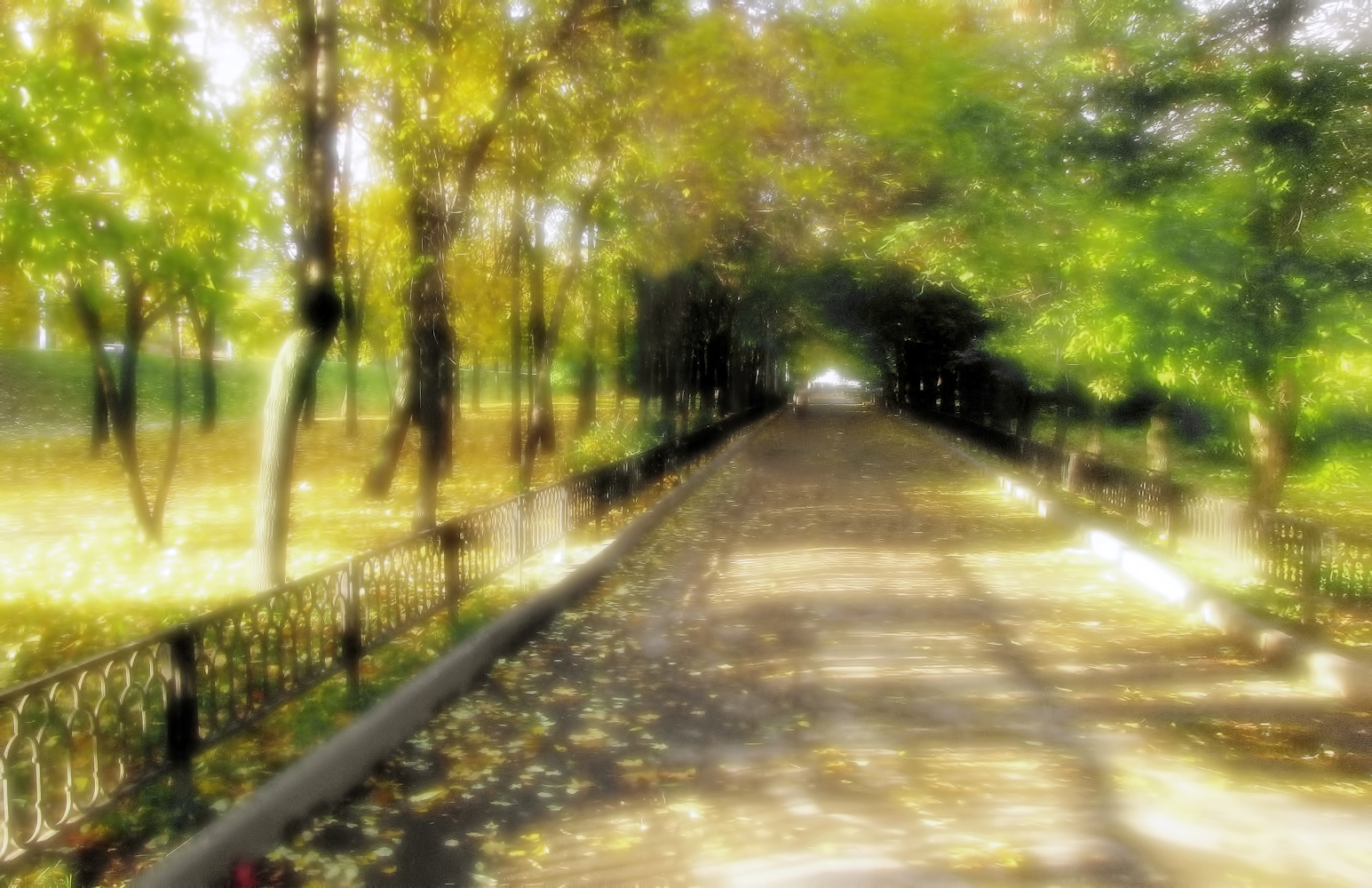 photo "***" tags: , 