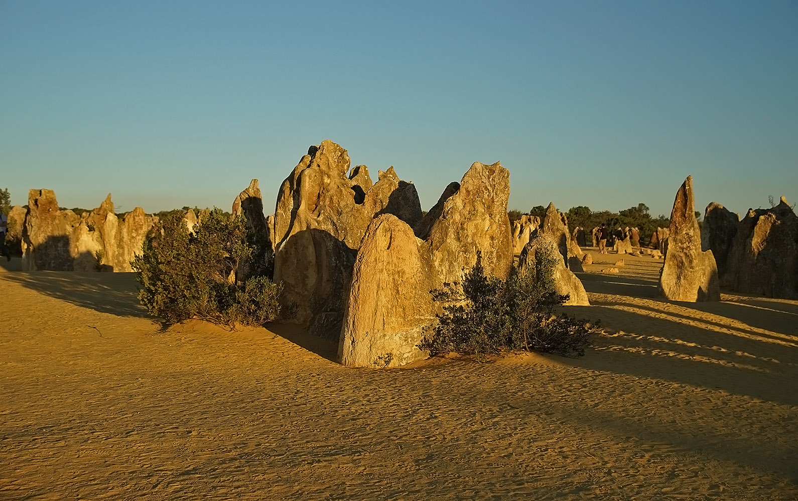 фото "Pinnacles в закатном свете..." метки: пейзаж, природа, 