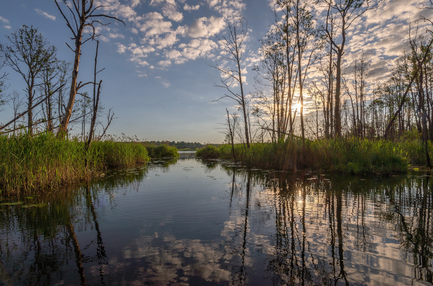 photo "***" tags: landscape, 