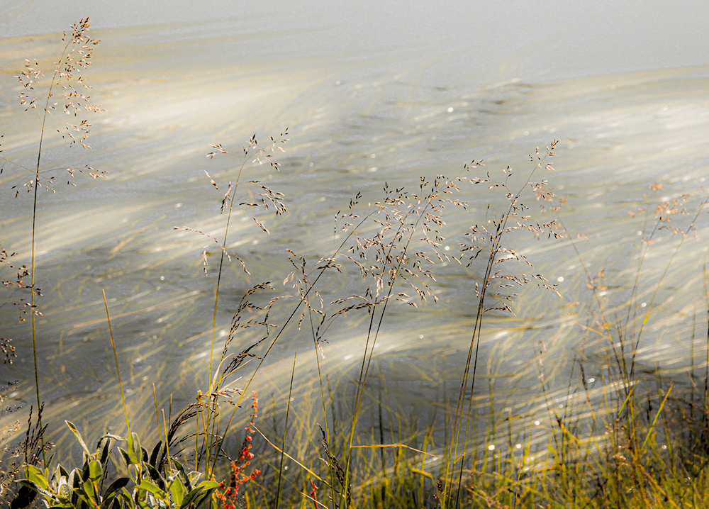 фото "Touch of summer" метки: природа, 