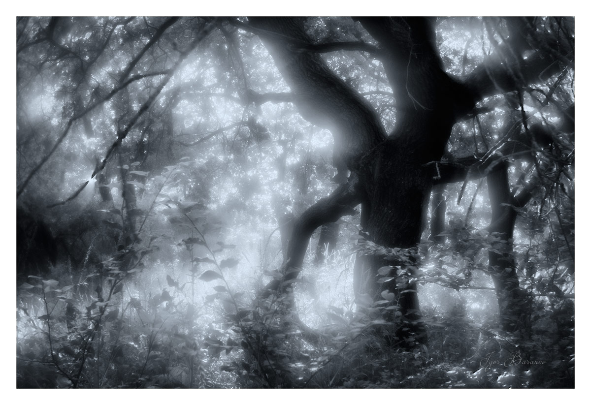 photo "***" tags: landscape, black&white, 
