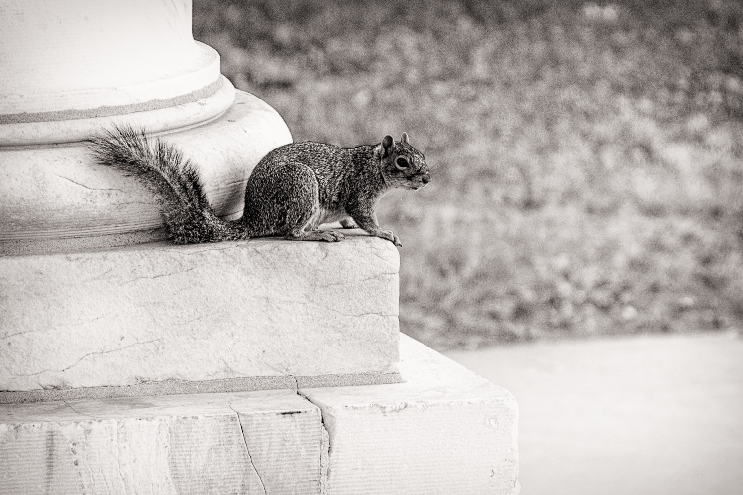 photo "At the Foot of the Column" tags: nature, 