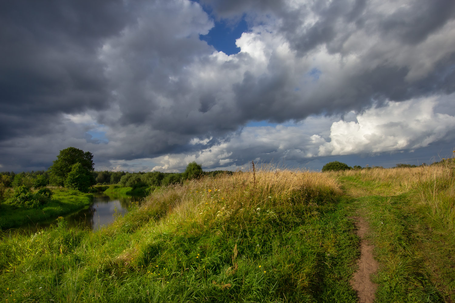 photo "***" tags: landscape, river, summer, Филипповское, Шерна