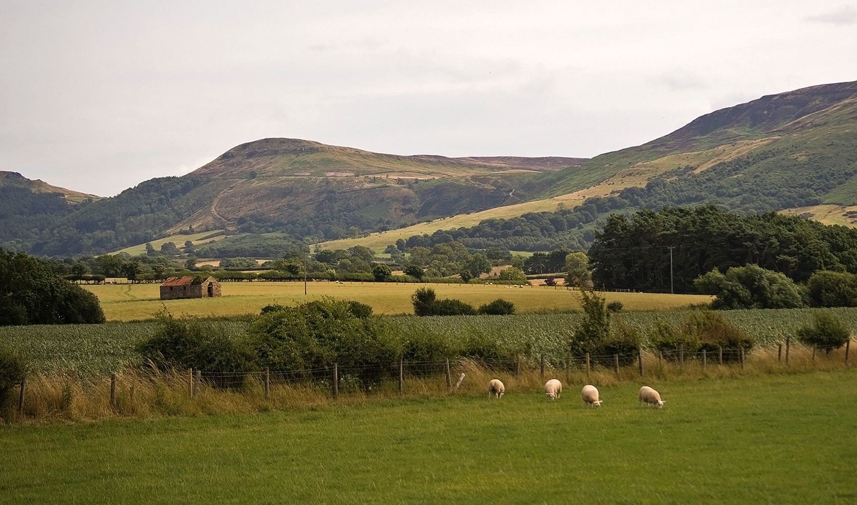 photo "***" tags: landscape, 