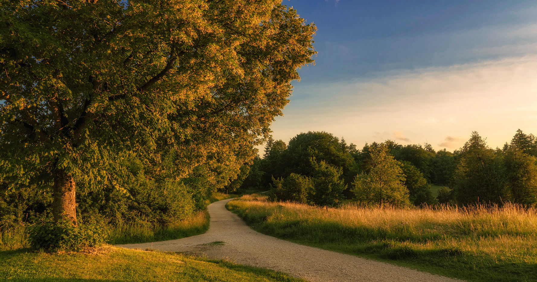 photo "***" tags: landscape, nature, 