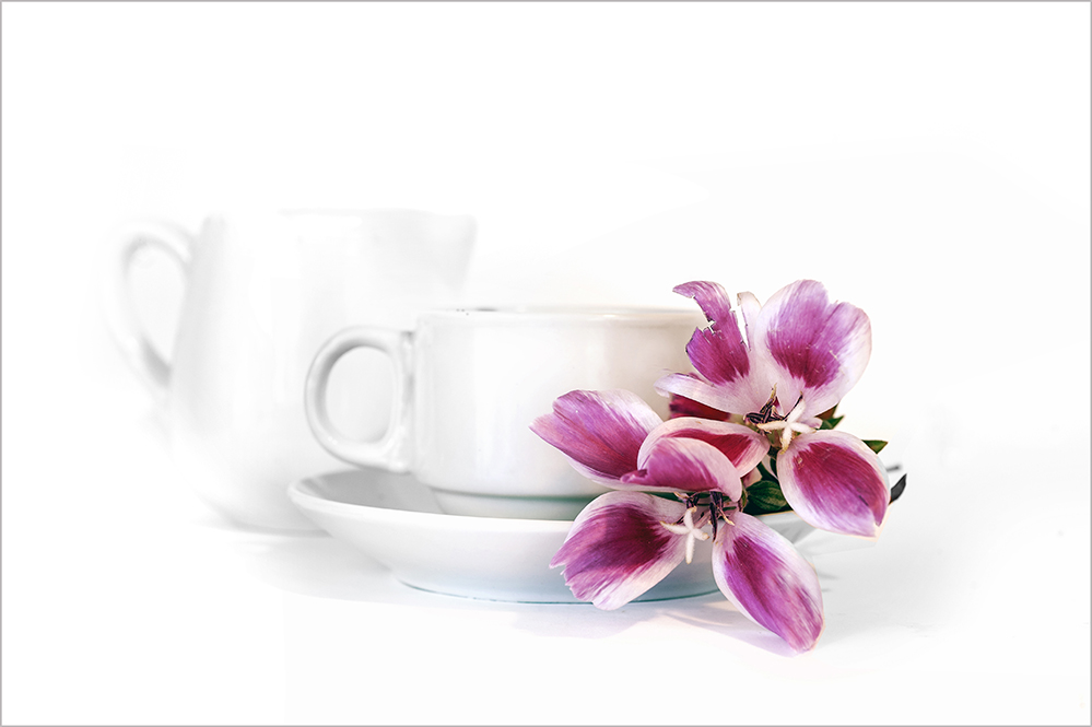 photo "***" tags: still life, 